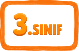3. Sınıf