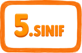 5. Sınıf